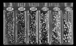 CRYSTALS BLUE FLAME SIZE 4,6,8,10,12,16 6 CRYSTALS BLUE FLAME SIZE 4,6,8,10,12,16 -NAIL BRUSHES Shop C 71 3