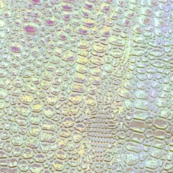 Holographic Brush Case -NAIL BRUSHES Shop NA 229 5